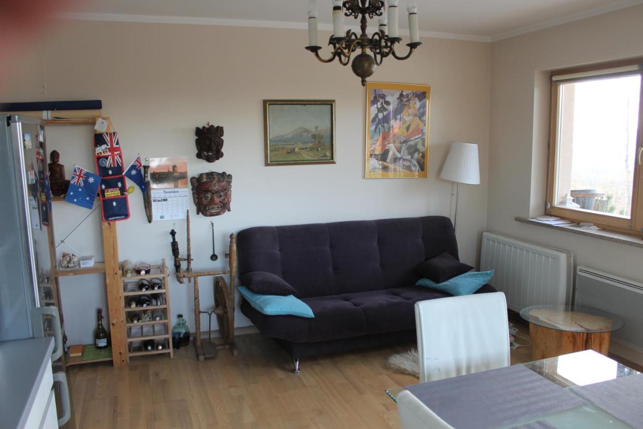Apartament Cyrhla ザコパネ エクステリア 写真