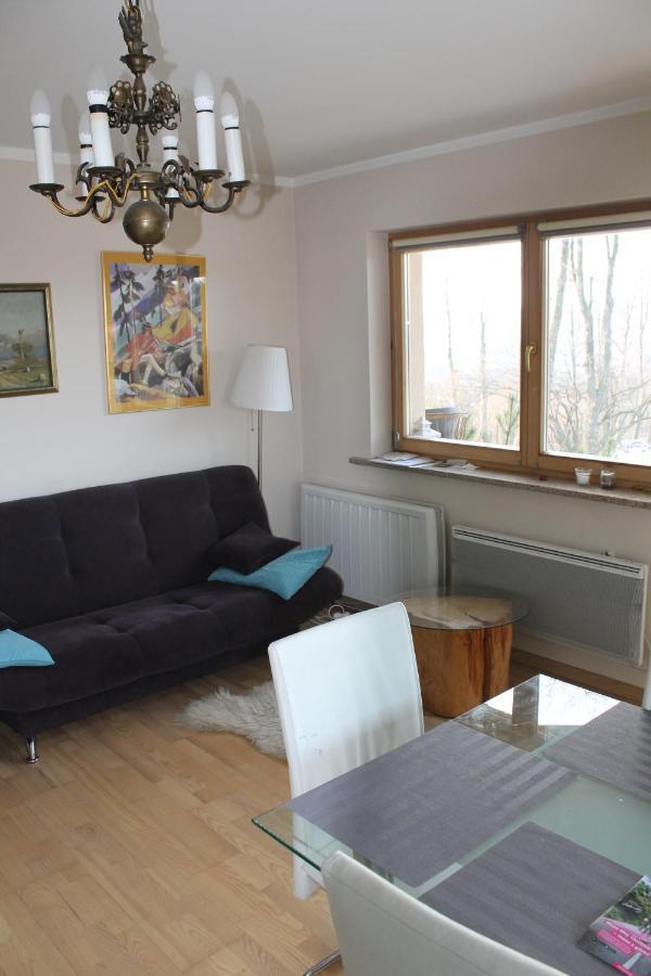 Apartament Cyrhla ザコパネ エクステリア 写真
